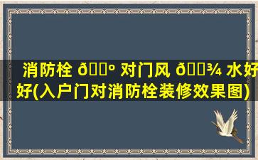 消防栓 🌺 对门风 🌾 水好不好(入户门对消防栓装修效果图)
